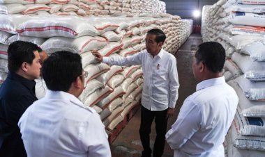 Mengamankan Ketahanan Pangan, Indonesia Akan Terima 3 Juta Ton Beras Impor pada 2024