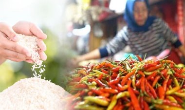 Kenaikan Harga Pangan Dominasi Awal Pekan Ini, Cabai dan Beras Mencuat sebagai Fokus