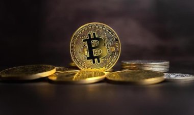 ETF Bitcoin Catat Rekor Arus Masuk US$340 Juta dalam Sehari, BlackRock dan Fidelity Pimpin!