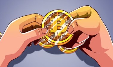 BlackRock dan Fidelity Catat Rekor Investasi, ETF Bitcoin Serap US$340 Juta dalam Sehari