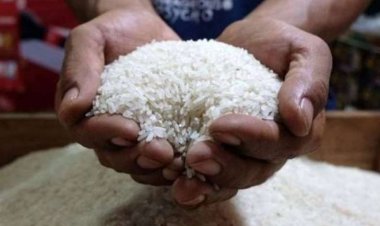Rekor Baru! Harga Beras Pecahkan Batas Rp18 Ribu per Kg, Lonjakan Tertinggi dalam Era Jokowi