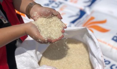 Lonjakan Harga Beras Mencapai Rekor Tertinggi: Kritik Pedagang Pasar Terhadap Kebijakan Bansos Jelang Pilpres 2024