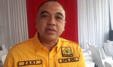 Ahmed Zaki Iskandar, Pengalaman Politiknya dan Persiapannya Menjadi Cagub DKI
