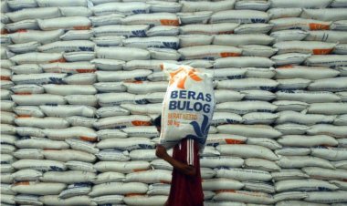Impor Beras Mencapai 500 Ribu Ton, Fokus Bulog pada Penyediaan dan Kontrol Pasokan