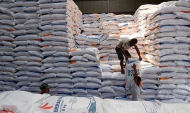 Impor Beras ke Indonesia Capai Rekor 500 Ribu Ton, Bulog Siap Jaga Pasokan dan Harga Stabil