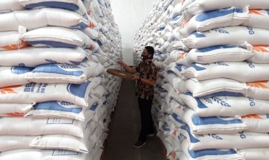 500 Ribu Ton Beras Impor Telah Masuk ke Indonesia