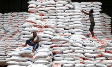 500 Ribu Ton Beras Impor Tiba di Indonesia, Bulog Fokus pada Stabilitas Pasokan dan Harga