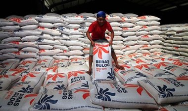 Impor Beras Capai 500 Ribu Ton: Bulog Berupaya Jaga Stabilitas Pasokan Pangan di Indonesia