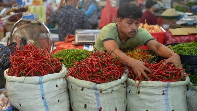 Kenaikan Harga Pangan pada Awal Pekan, Cabai dan Beras Melonjak Tinggi