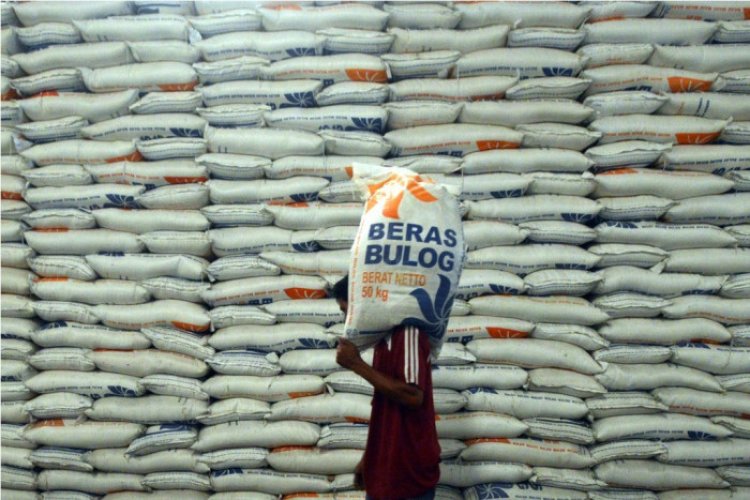 Impor Beras Mencapai 500 Ribu Ton, Fokus Bulog pada Penyediaan dan Kontrol Pasokan