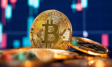 Menggebrak di Puncak Ketinggian: Bitcoin Melampaui Rp1 Miliar Per Keping