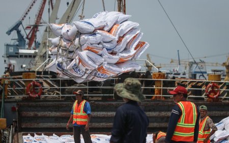 Jokowi Umumkan Impor 3 Juta Ton Beras, Perkuat Ketahanan Pangan Indonesia