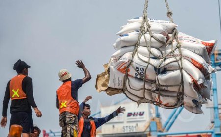 Jokowi Umumkan Impor 3 Juta Ton Beras untuk Stabilkan Ketahanan Pangan Indonesia