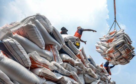 Peningkatan Ketahanan Pangan: Indonesia Impor 3 Juta Ton Beras dari India dan Thailand