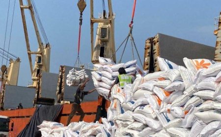 Mengamankan Ketahanan Pangan, Indonesia Akan Terima 3 Juta Ton Beras Impor pada 2024