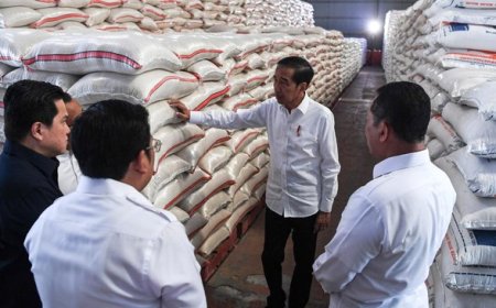 3 Juta Ton Beras Impor Bakal Banjiri RI Tahun Ini