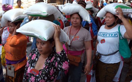 Bansos Beras 10 Kg Dihentikan Sementara Gara-gara Pemilu: Pemerintah Indonesia Responsif Terhadap Kebutuhan Masyarakat