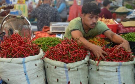 Kenaikan Mayoritas Harga Pangan Pada Awal Pekan, Cabai dan Beras Terpengaruh