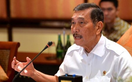 Luhut Ungkap China Minat Bikin Pabrik Sendok Garpu di RI