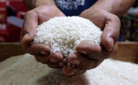 Lonjakan Harga Beras Mencatat Rekor Tertinggi: Tembus Rp18 Ribu per Kg di Era Jokowi