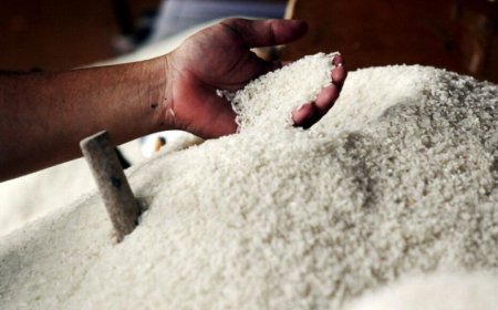 Lonjakan Harga Beras Pecahkan Rekor: Tembus Rp18 Ribu per Kg, Tertinggi dalam Sejarah Pemerintahan Jokowi