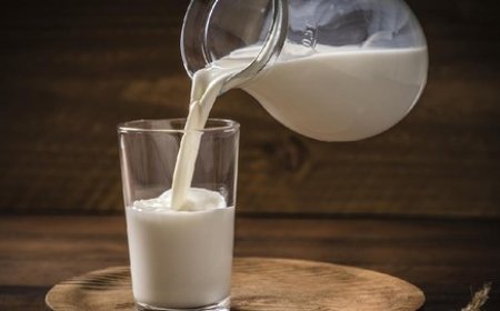 Pengusaha Susu Ungkap Kesiapan dan Tantangan Program Makan Gratis Prabowo