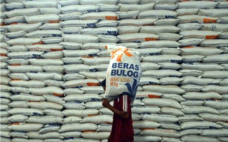 Impor Beras ke Indonesia Capai Rekor 500 Ribu Ton, Bulog Siap Jaga Pasokan dan Harga Stabil