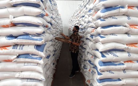 500 Ribu Ton Beras Impor Tiba di Indonesia, Bulog Fokus pada Stabilitas Pasokan dan Harga