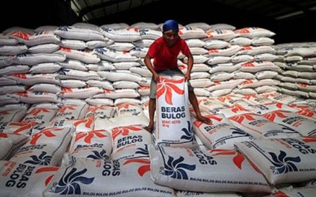 Impor Beras Mencapai 500 Ribu Ton, Fokus Bulog pada Penyediaan dan Kontrol Pasokan