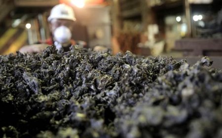 Perekonomian Terhimpit, Ekspor Indonesia Terkoreksi Tajam di Awal Tahun 2024