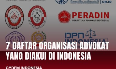 Mengenal 7 Organisasi Advokat Resmi di Indonesia Sesuai Amanat UU No. 18 Tahun 2003